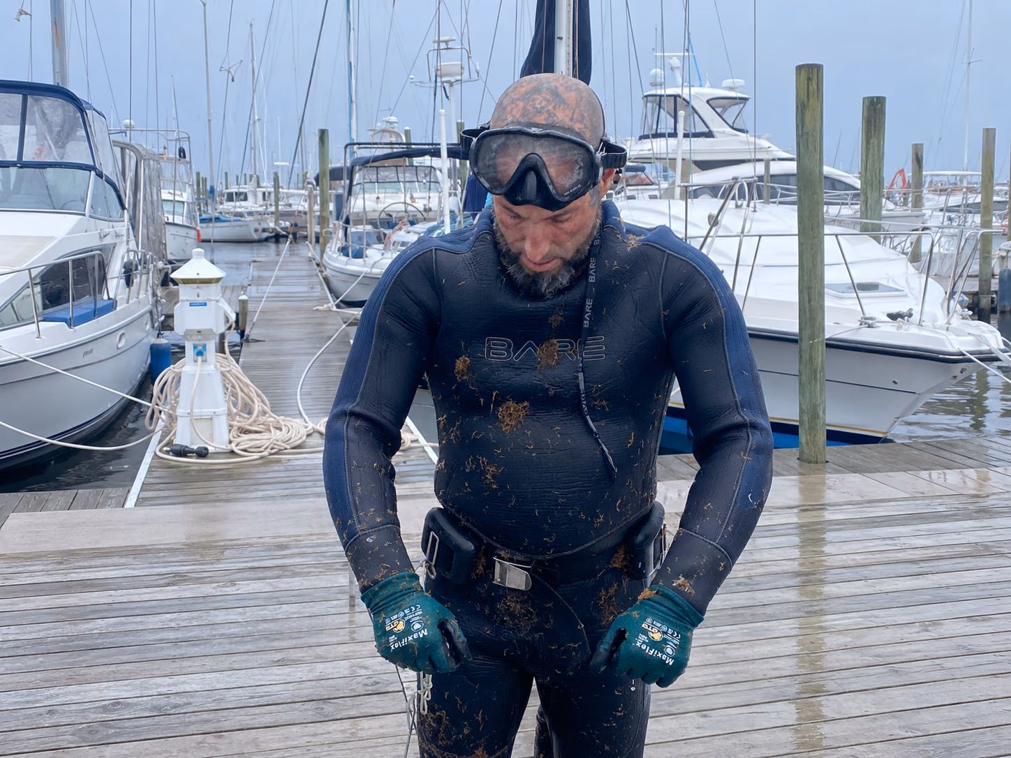 Man in a wetsuit and gloves covered in seaweed stands on a wet dock with boats in the background.