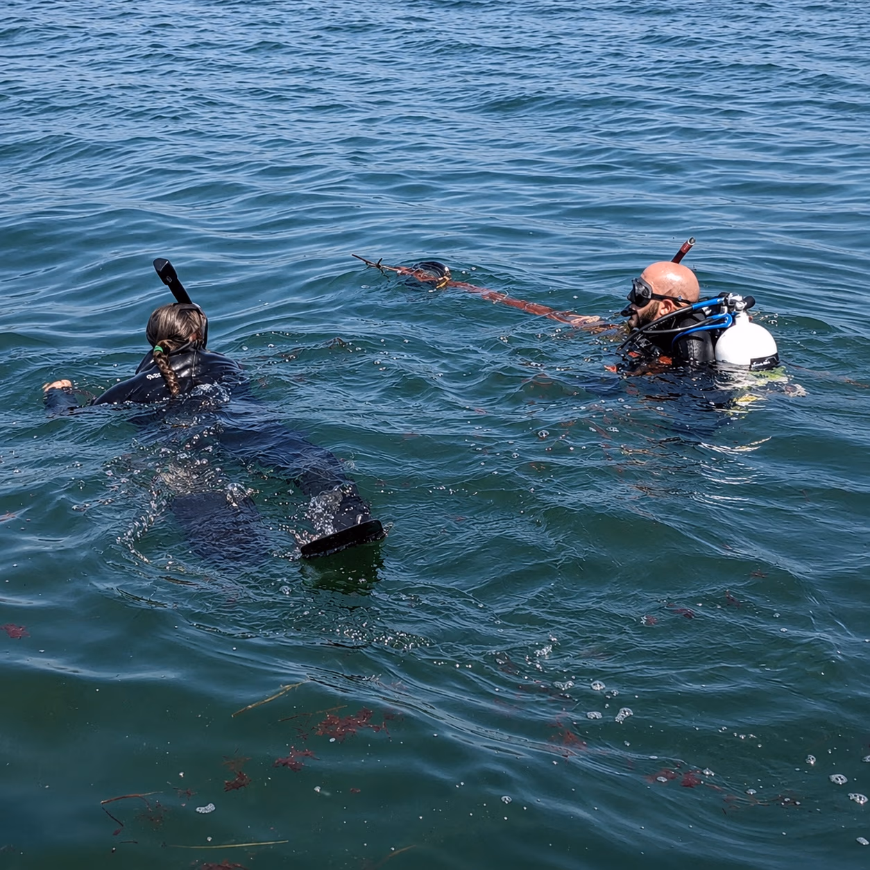 Two divers in wetsuits floating on water, one holding a long spear with a snorkel on his head.