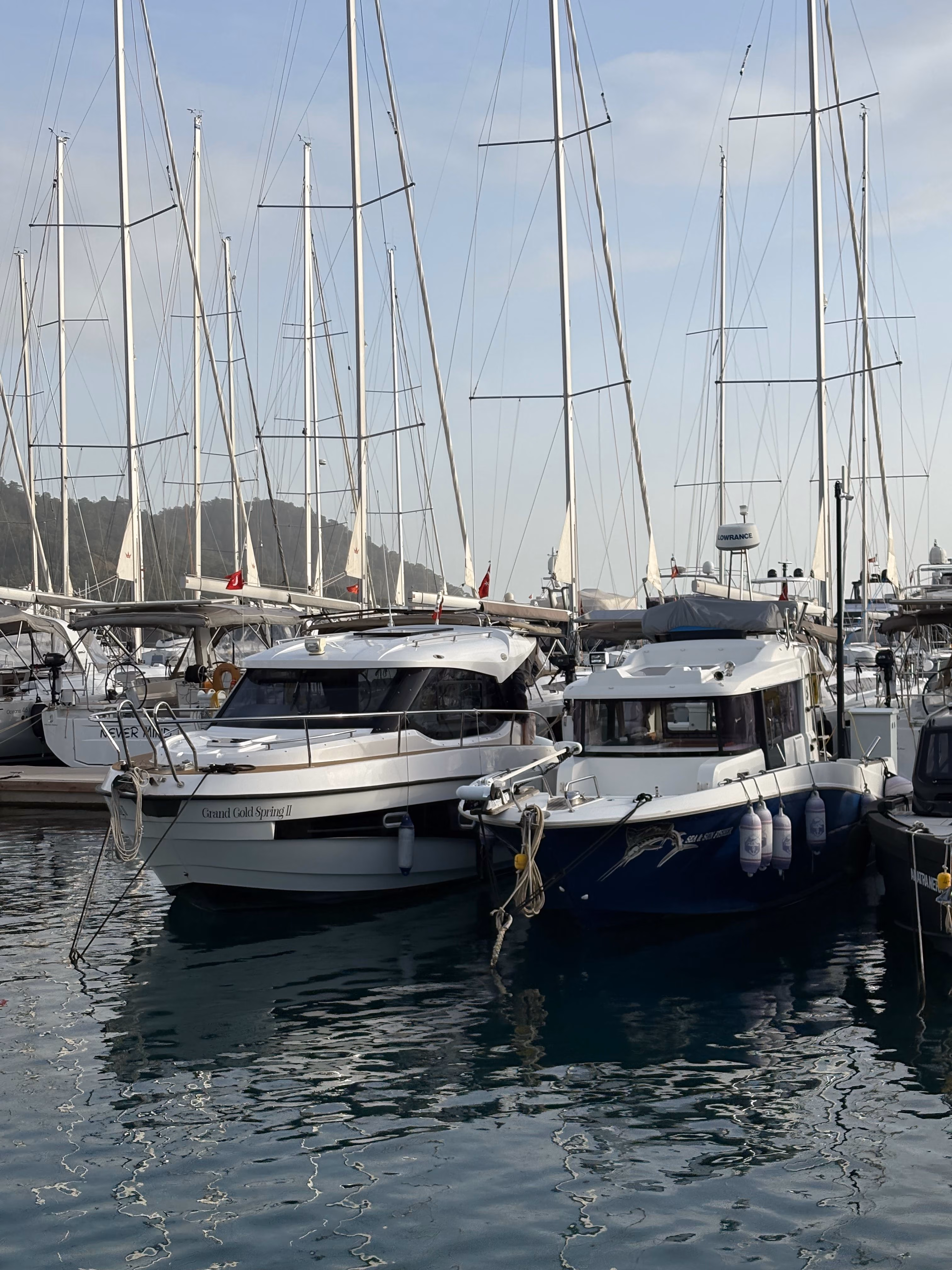 White and blue motorboats docked in marina with sailboats in background on calm water.